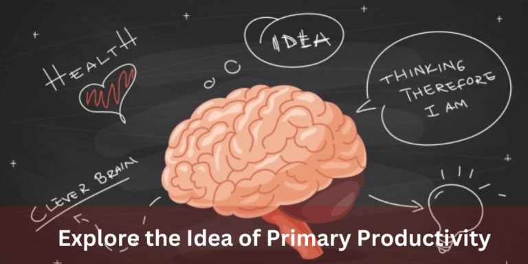 Explore the Idea of Primary Productivity